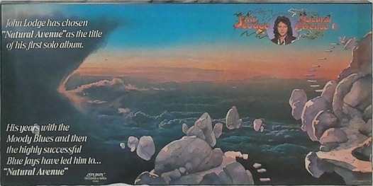 Natural Avenue Gatefold Promo